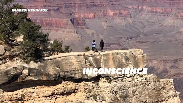 Ces images sont la preuve que les selfies en pleine nature sont dangereux