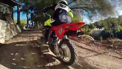 Son Rides Off Ledge, Shakes It Off