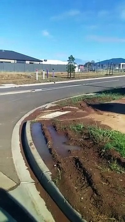 Ibis Smashes Windscreen