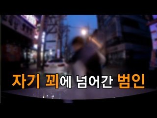30대 보험사기꾼, 운전자가 합의금 안주자 경찰에 신고했다 덜미