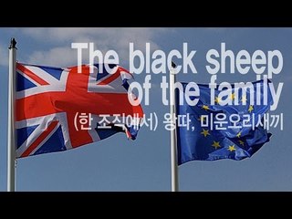 The black sheep of the family - (한 조직에서)왕따, 미운 오리새끼