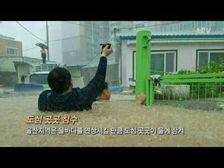 태풍 ‘차바’ 피해 속출... 잠기고 부러지고