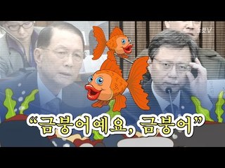 우병우가 무슨 공신? “금붕어예요 금붕어”