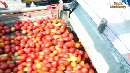 Agriculture Machine That Are At Another Level - Lest Technology Harvest Machine Working