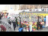 '이제 꽃길만 걷자' 광화문광장에 찾아온 봄