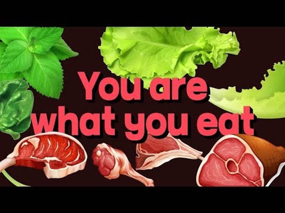 [영어초보를 위한 1분영어] You are what you eat : 사람은 먹는 것...