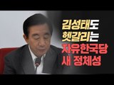 '뉴노멀 뉴보수' 자유한국당 새 정체성, 김성태도 헷갈려?