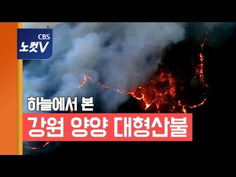 20ha 태운 강원 양양 산불...20시간 만에 진화