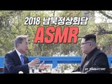 [남북정상회담 ASMR] 문재인 대통령과 김정은 위원장 '도보다리' 각종 상담