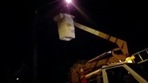 Vídeo mostra gatinho que estava no topo de poste sendo resgatado pela Copel