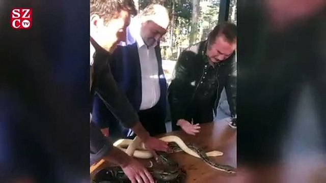 Orhan Gencebay, Park Of İstanbul’u gezdi, yılanları böyle sevdi