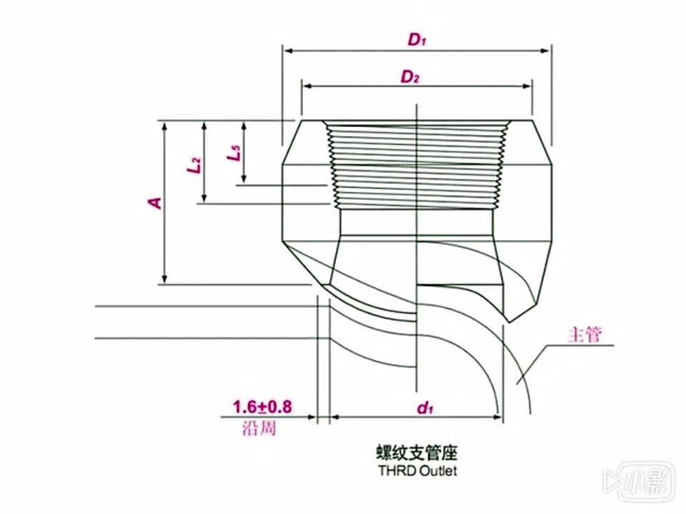 Threadolet MSS SP 97