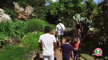 Save Italy’s butterflies - Friend of the Earth