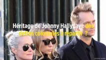 Héritage de Johnny Hallyday : des dettes colossales à répartir ?
