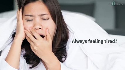 Unique & Colorful Bed Sheets in Various Prices 🛏️