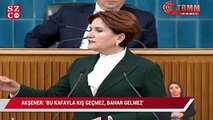 Akşener: 'Bu kafayla kış geçmez, bahar gelmez'