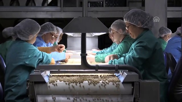 Çin'e gıda ihracatı yüzde 86 arttı - İZMİR