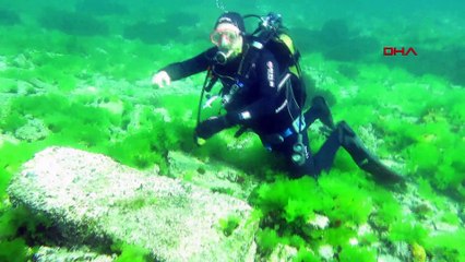 İstanbul’da depremlerle battı… Vordonisi adası havadan fotoğraflandı