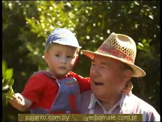 Yerba Mate Pajarito - 02