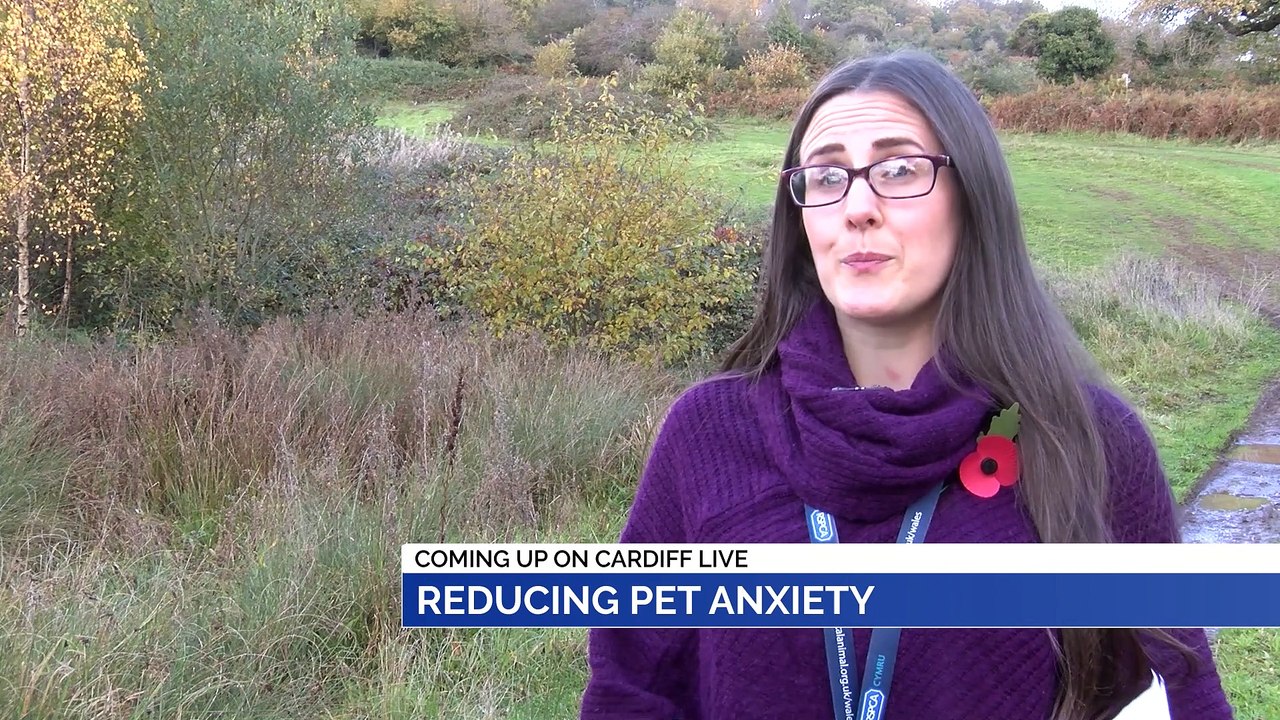 NEWS: 5th November 2019