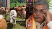 Indian cow milk contains gold: Bengal BJP chief | Oneindia Malayalam