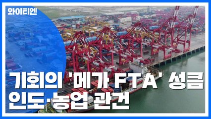 기회의 문 열리는 '메가 FTA' 시장...인도와 농업 '관건' / YTN
