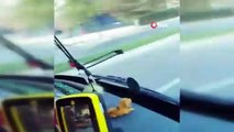 Minibüsle genç kadını kaçırmaya çalışan şoförü halk otobüsüyle kovaladı