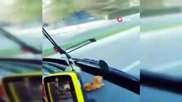 Minibüsle genç kadını kaçırmaya çalışan şoförü halk otobüsüyle kovaladı