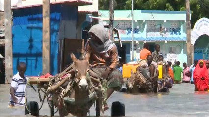 الرئيس الصومالي يدعو المنظمات الدولية لمساعدة منكوبي الفيضانات