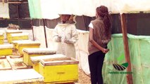 Twende shambani : bee farming PART 2