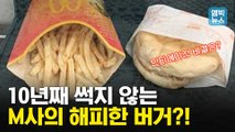 [엠빅뉴스] 10년이 지나도 썩지 않는 맥도날드 햄버거..방부제 버거? 미라 버거?
