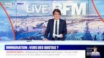 Immigration: vers des quotas ? - 05/11