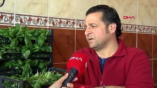 ıspanak satışları dibi gördü