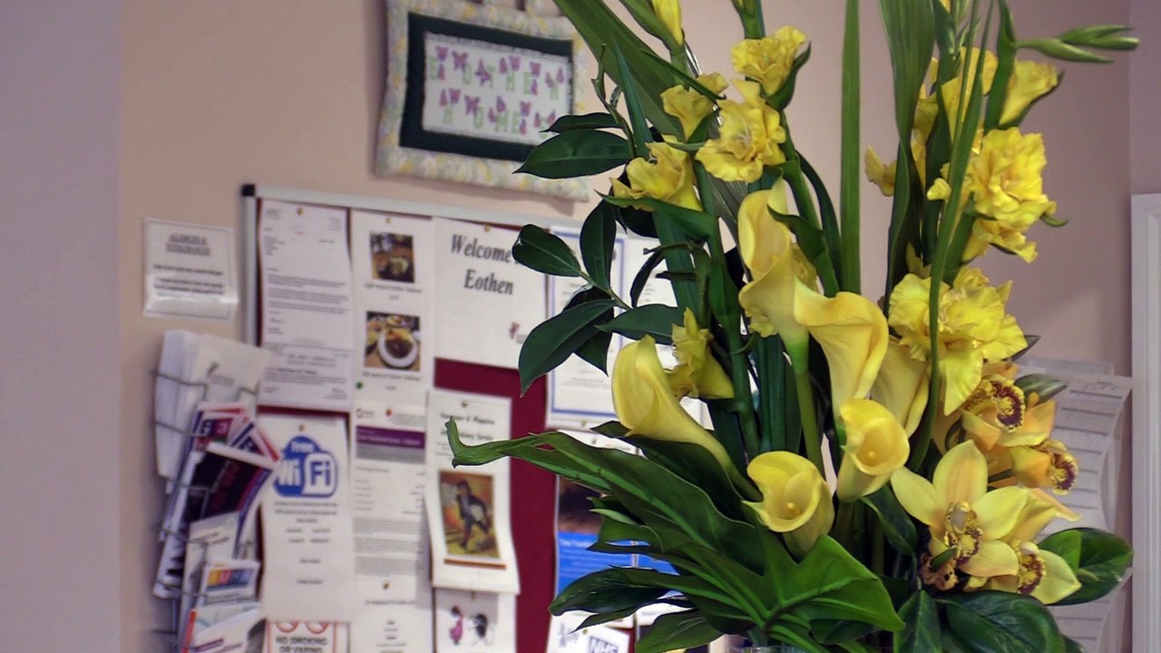 Eothen Homes Guy Fawkes Night