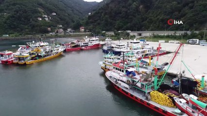 Hamsi avındaki bereket ihracat rakamlarına yansıdı