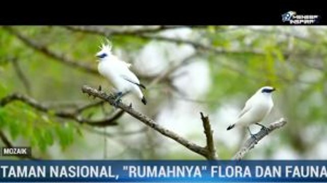 Taman Nasional, Rumahnya Flora dan Fauna