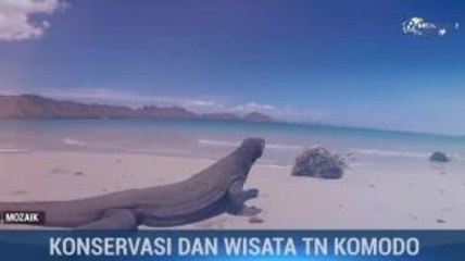 Konservasi dan Wisata Taman Nasional Komodo