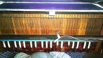 INSTRUMENT _-अब जाग उठो और कमर कसो मंजिल की राह बुलाती है ! - gondia - गोंदिया ( 360 X 640 )