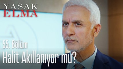 Halit akıllanıyor mu? - Yasak Elma 55. Bölüm