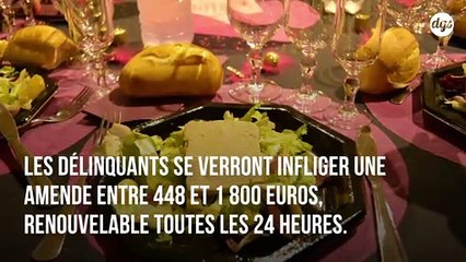 New York interdit la vente de foie gras