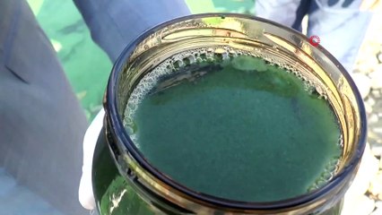 Atatürk Barajında Korkutan Görüntü