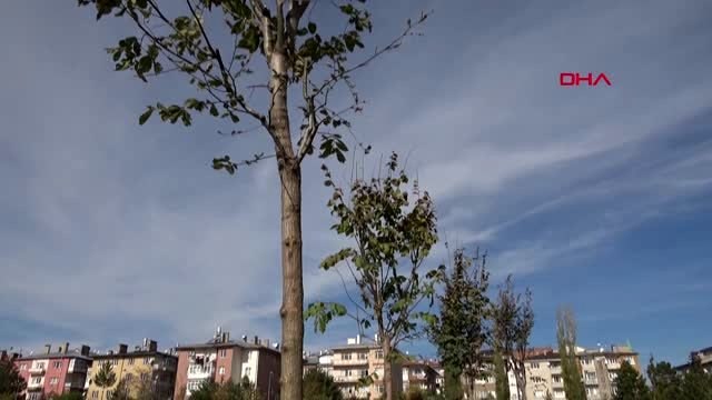 'Anadolu'nun en büyük millet bahçesi' açılış için hazırlanıyor