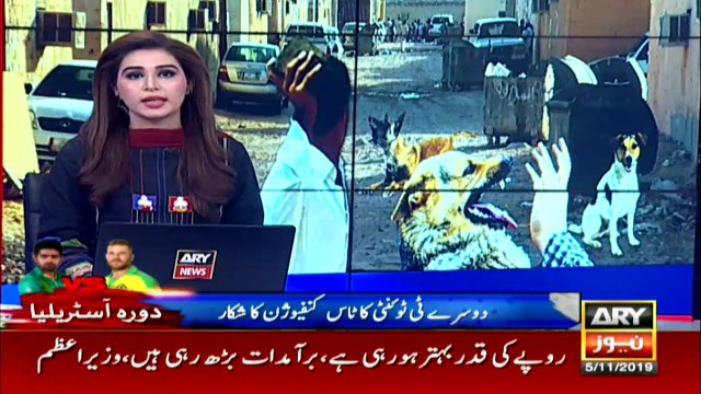 کراچی میں کتے کے کاٹے کا مریض علاج کے باوجود فوت ہوگیا