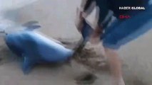 Çanakkale'de kumsala vuran yunusu böyle kurtardı