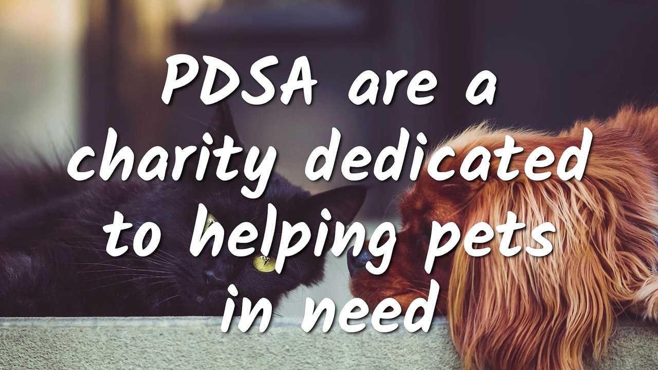 Who are the PDSA?