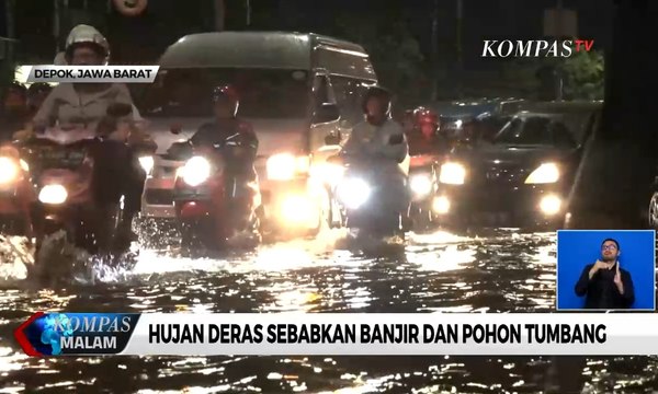 Hujan Deras di Depok Sebabkan Banjir dan Pohon Tumbang