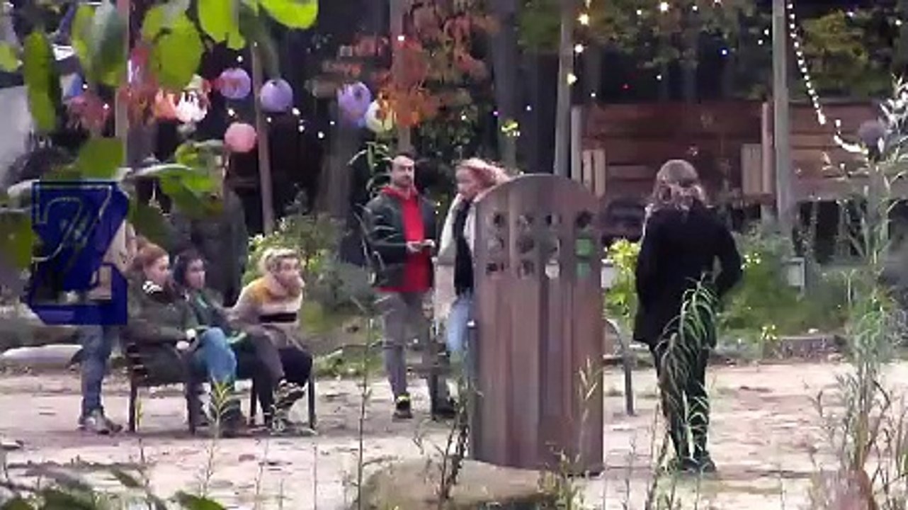 Positieve Stemmingen [5-11-2019] 16.04u