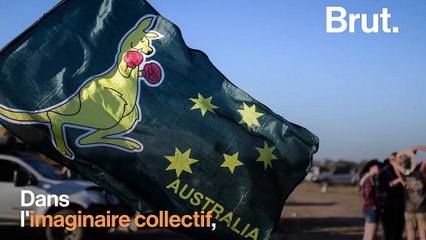 Le combat entre kangourous, un combat virulent