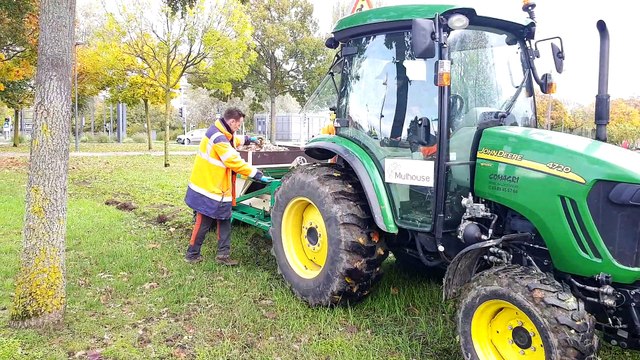 Mulhouse : les jardiniers préparent le printemps