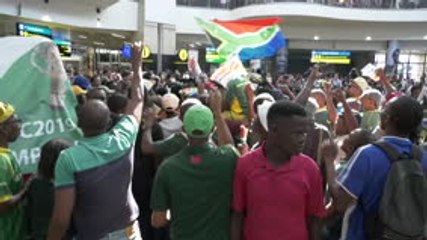 Afrique du Sud - Les Springboks accueillis en héros à Johannesbourg